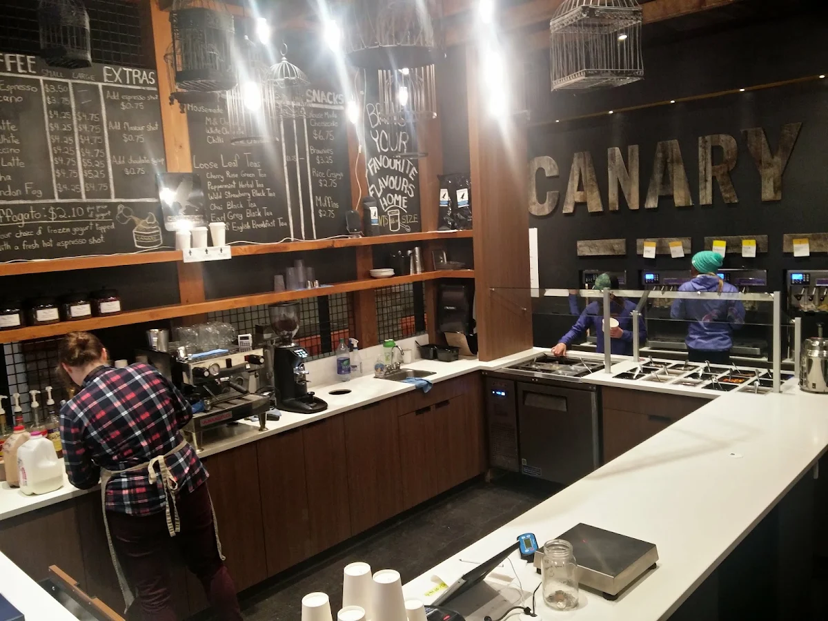 Vibe, Canary Coffee