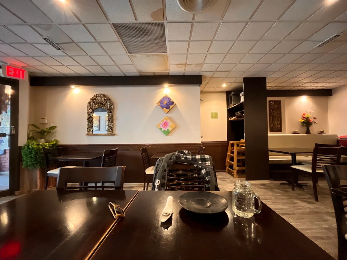 Vibe, Thai House Cuisine