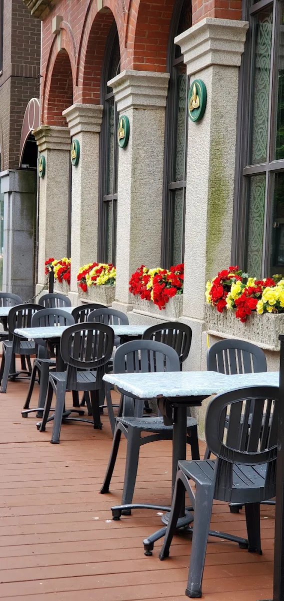 Vibe, The Old Triangle Irish Alehouse