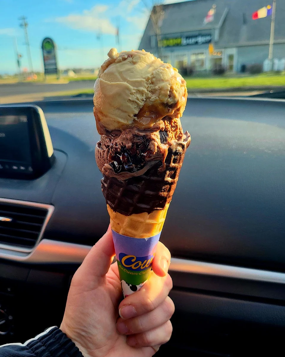 1 Scoop Pralines & Cream 1 Scoop Double Chocolate Cheesecake in a Chocolate Dipped Cone