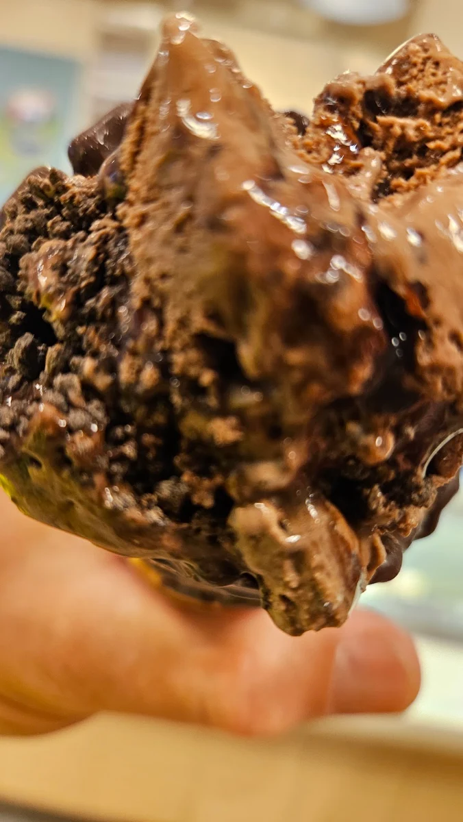 Chocolate Fudge Brownie