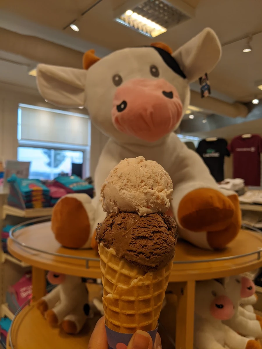 Strawberry and Chocolate Ice Cream