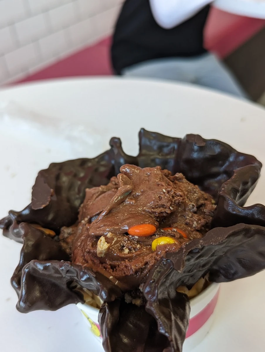 Vegan Chocolate Ice Cream