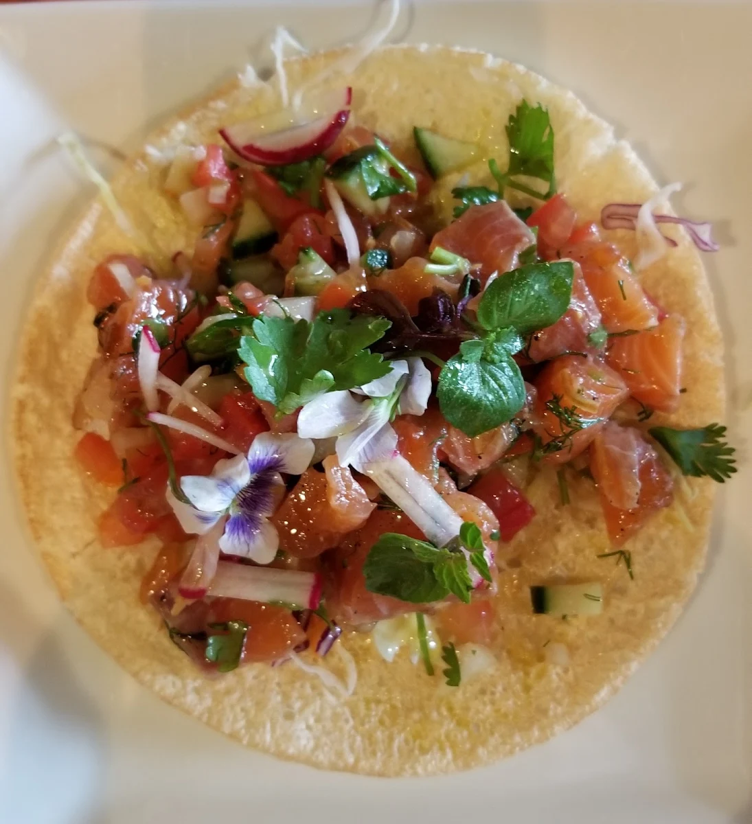 Salmon Ceviche