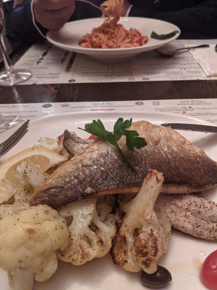Sea Bass
