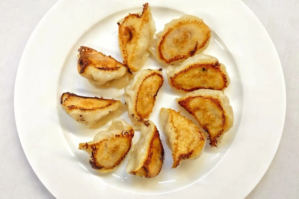 Handmade Pan-Fried Dumpling
