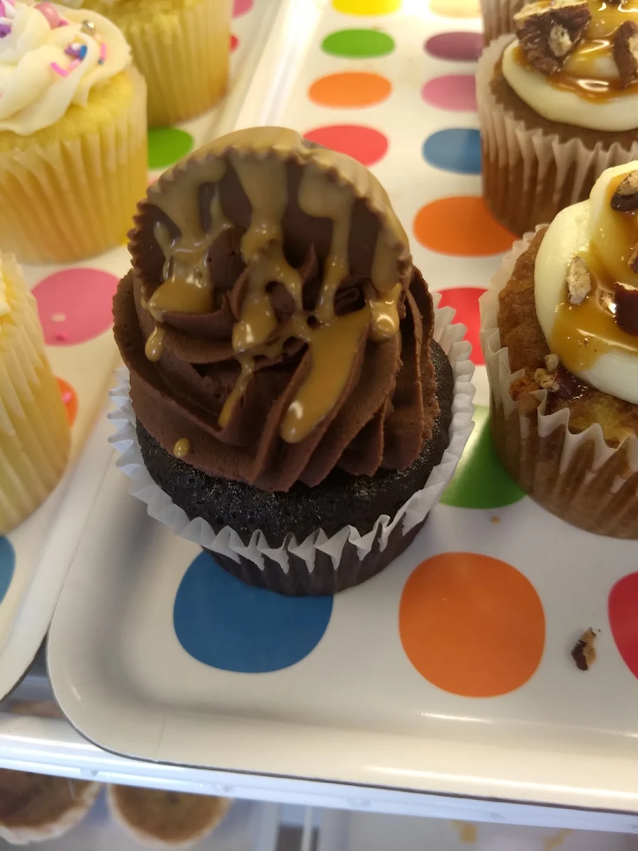 Peanut Butter Chocolate Cupcake
