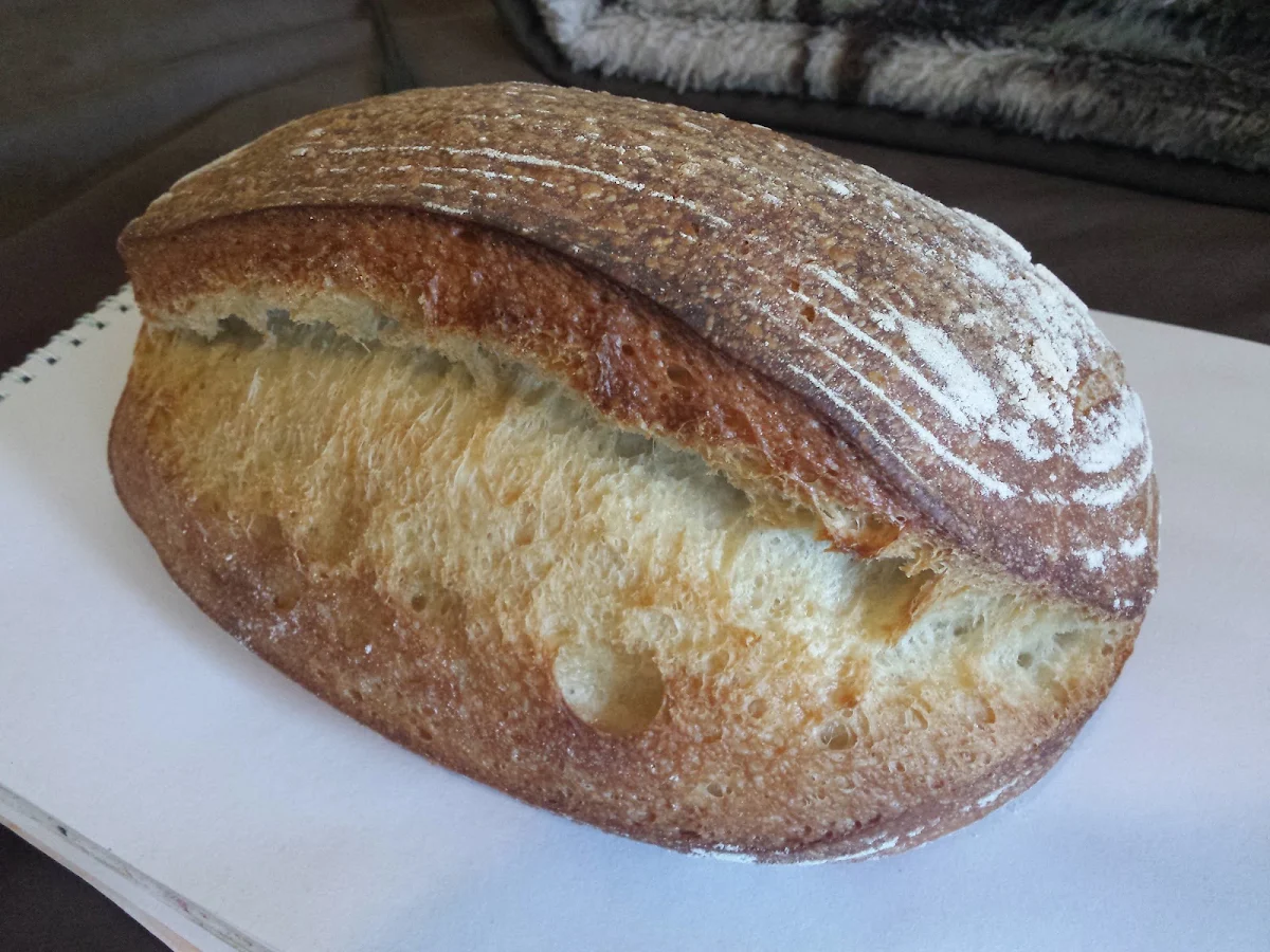 Sourdough Bread