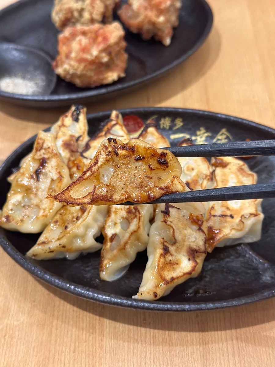 Chicken Gyoza