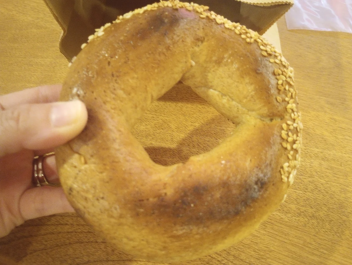 Whole Grain Bagel