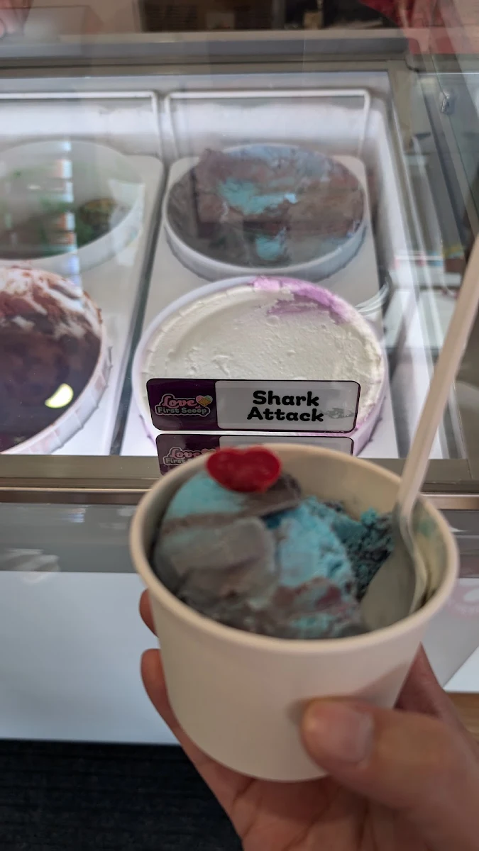 Shark Attack, Love at First Scoop & Coffee
