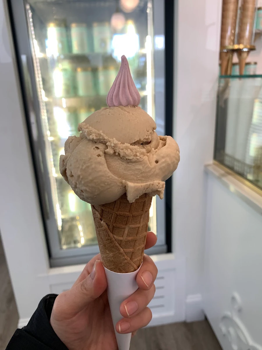 Vegan Chocolate Peanut Butter V N
