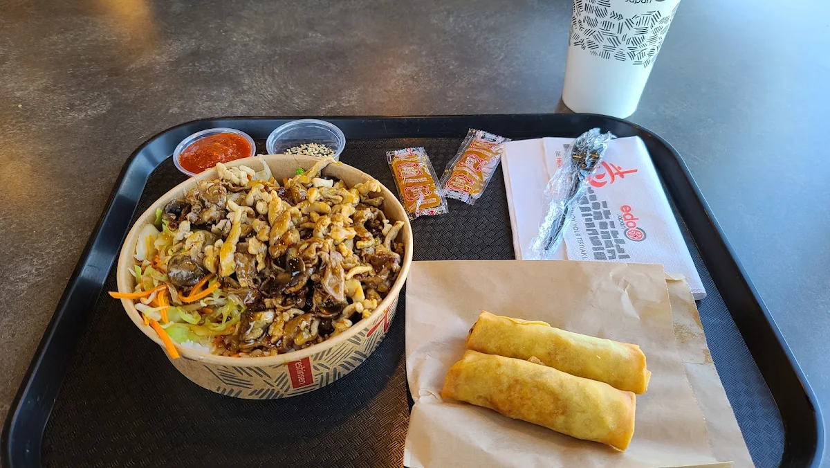 Beef and Chicken Teriyaki on Rice