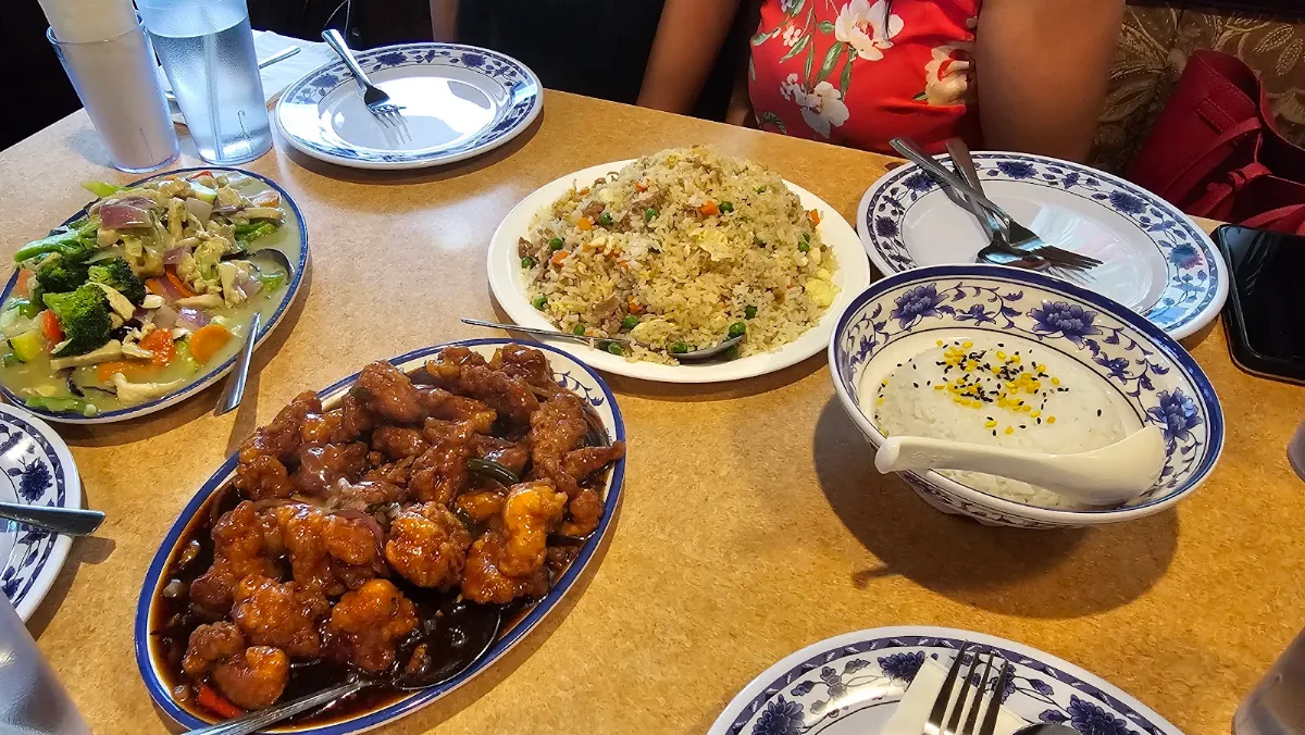 Manchurian Chicken Fried Rice