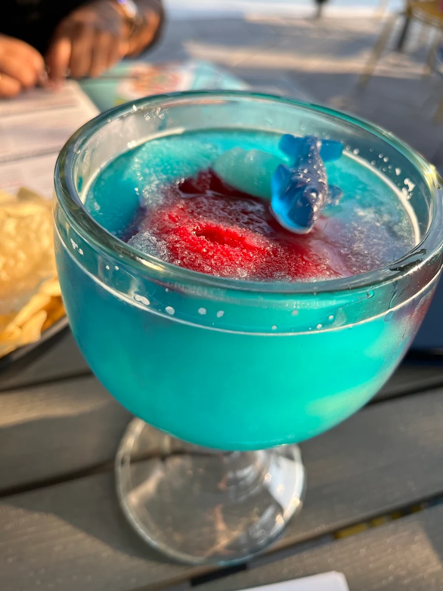 Shark Bite