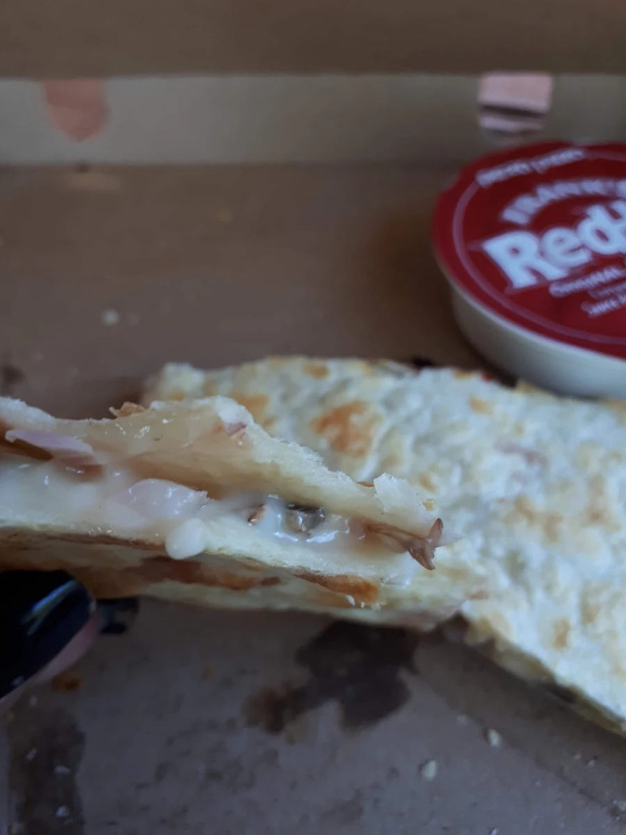 Vegan Quesadilla