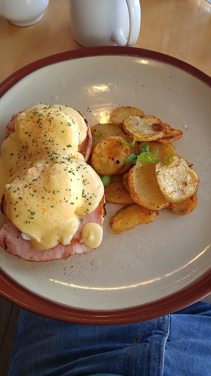 Regular Eggs Benedict, Full Circle Cafe