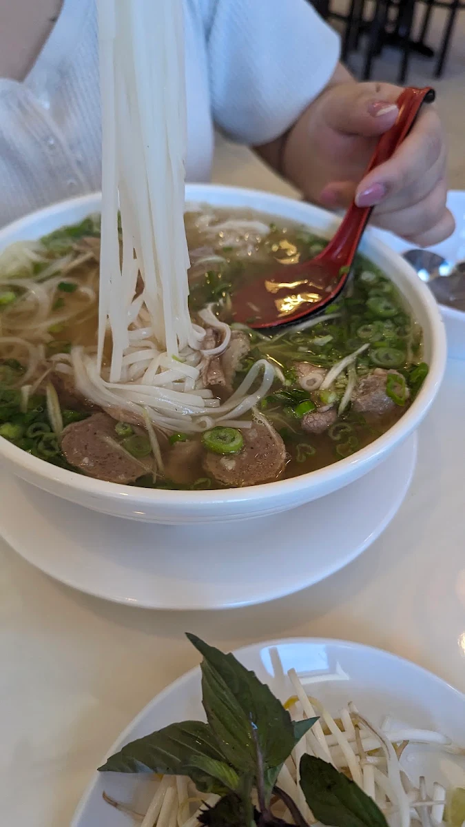 Phở GÀ Chicken Pho Soup