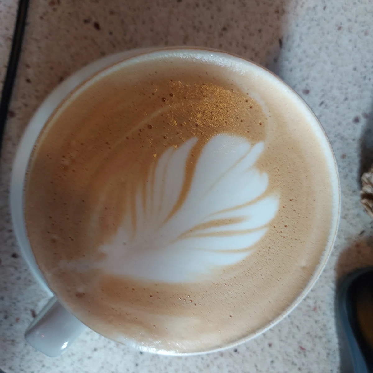 Cappuccino Latte