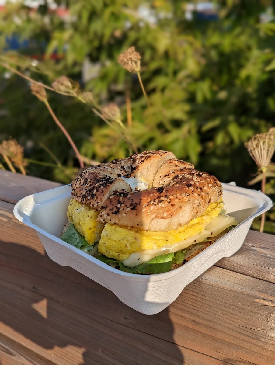 Egg and Cheese Sandwich