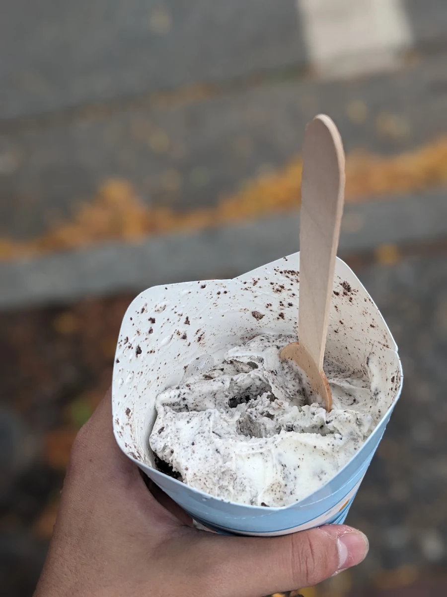 Oreo Mcflurry