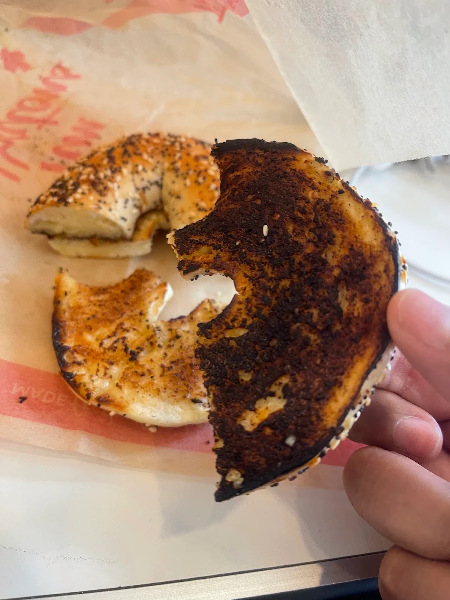 Everything Bagel