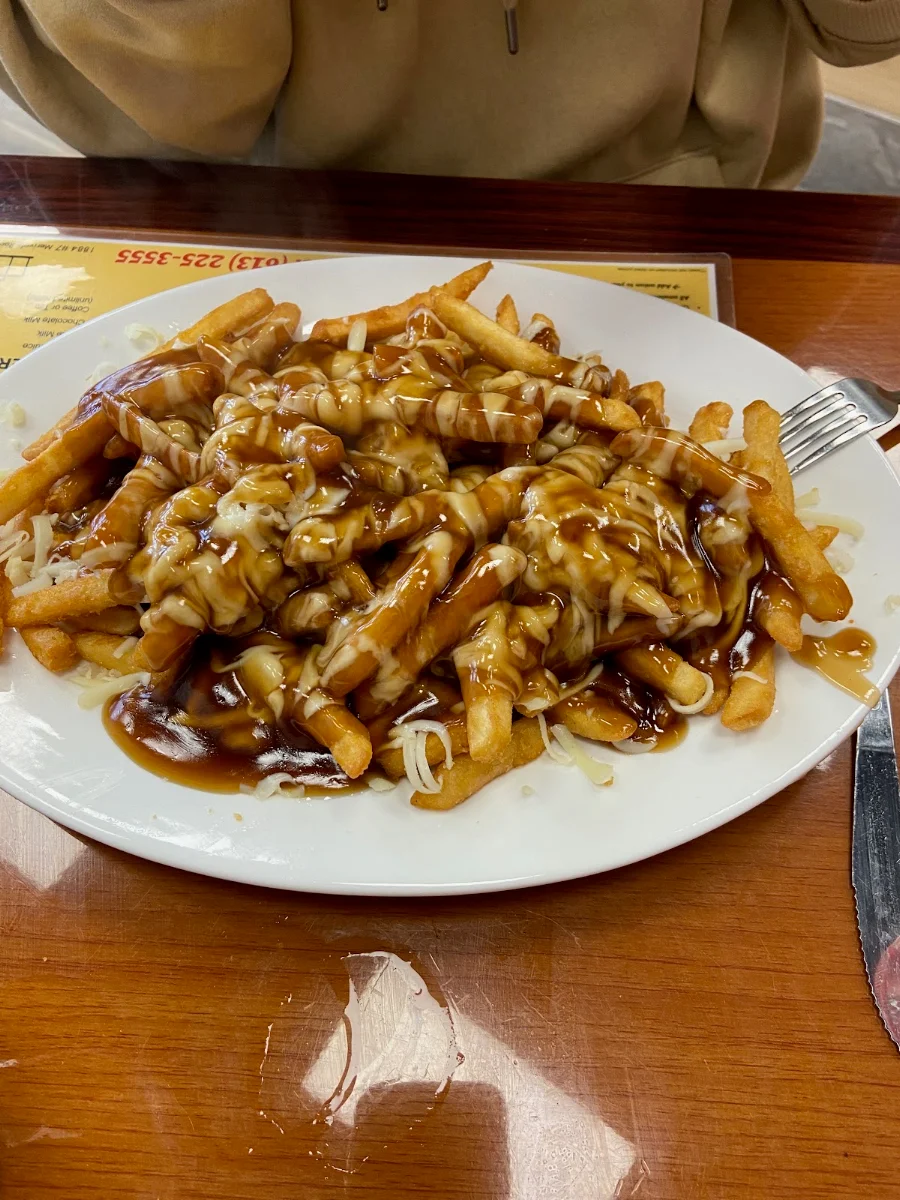 French Fries with Gravy