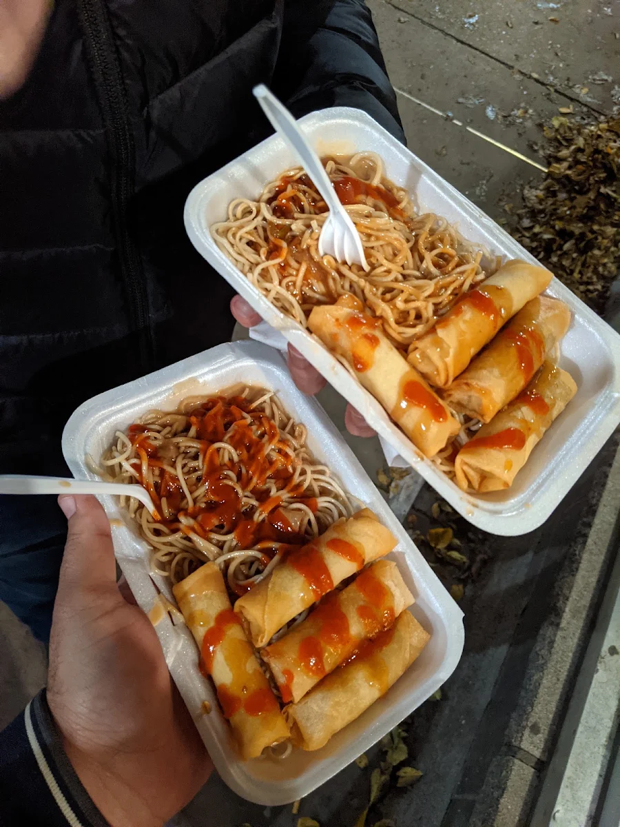Noodles and Spring Rolls