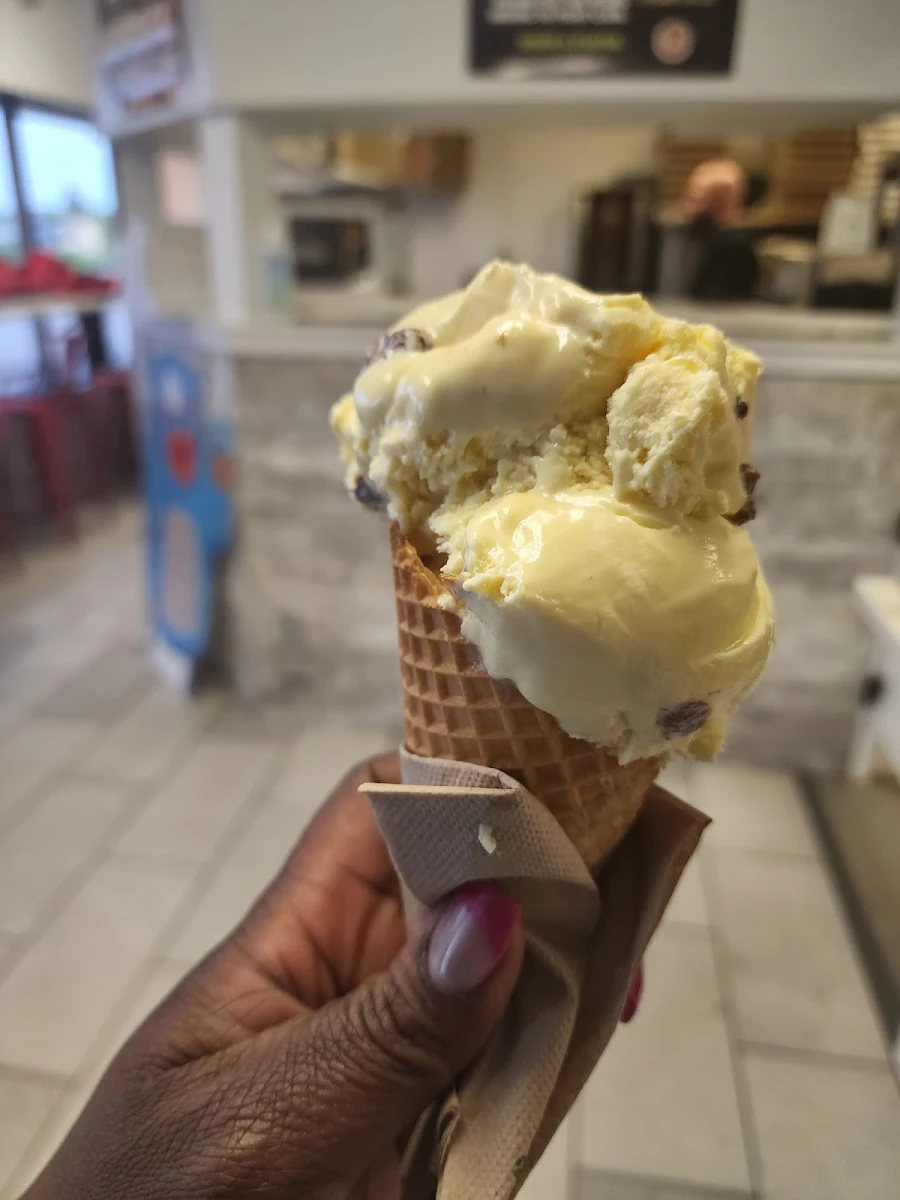 Rum and Raisin Ice Cream