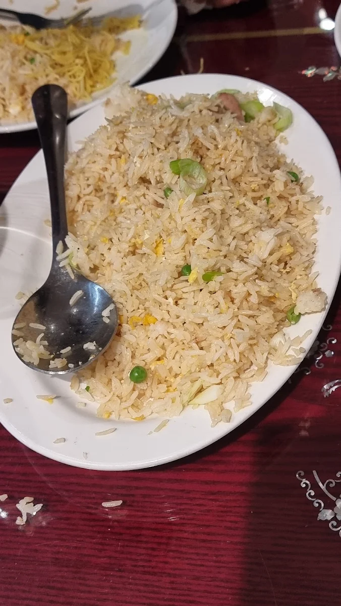 R9 Dragon 80 Ate Special Fried Rice