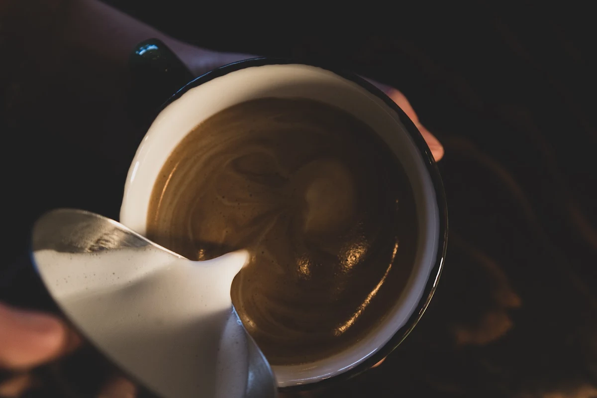 Highlights, The Fix Cafe and Cyclery