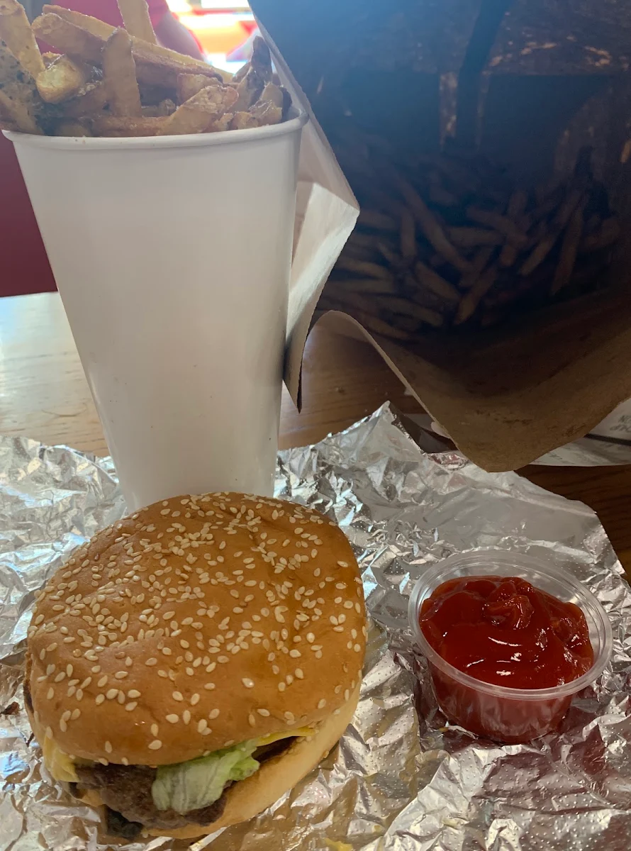 Cheese Burger and Fries