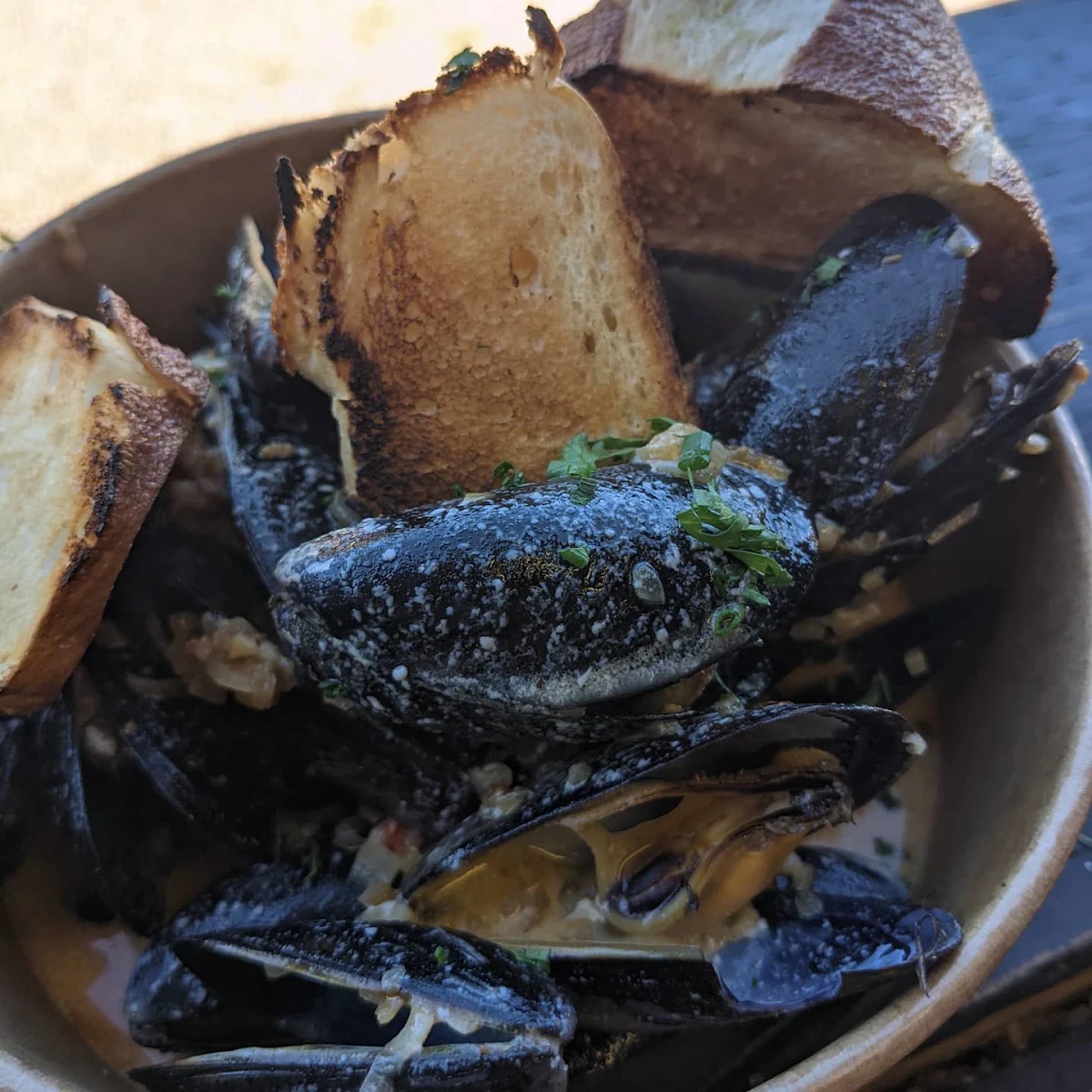 Steamed Mussels in Beer