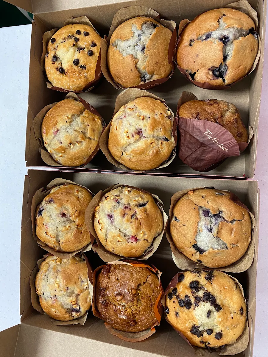 Muffin Multi-Pack