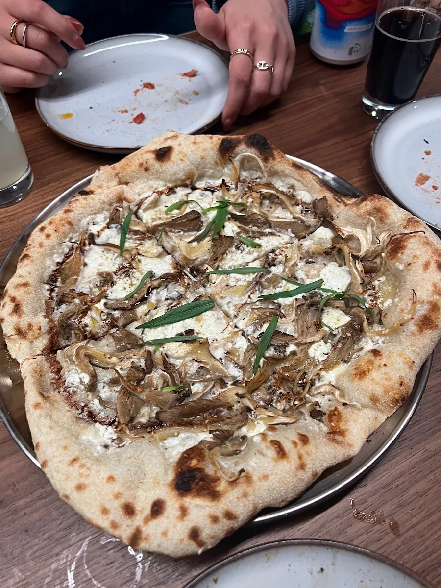 Oyster Mushroom with Goat Cheese