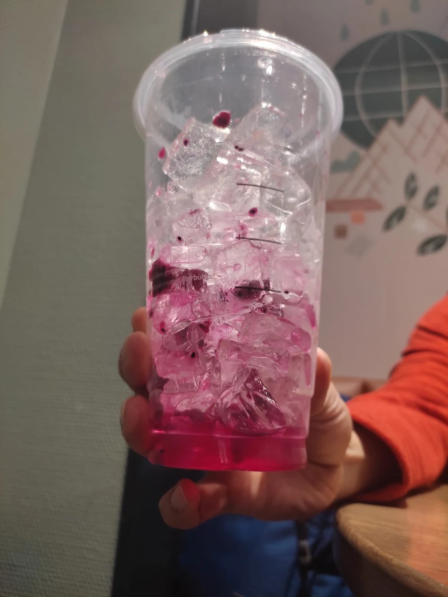 Mango Dragon Fruit
