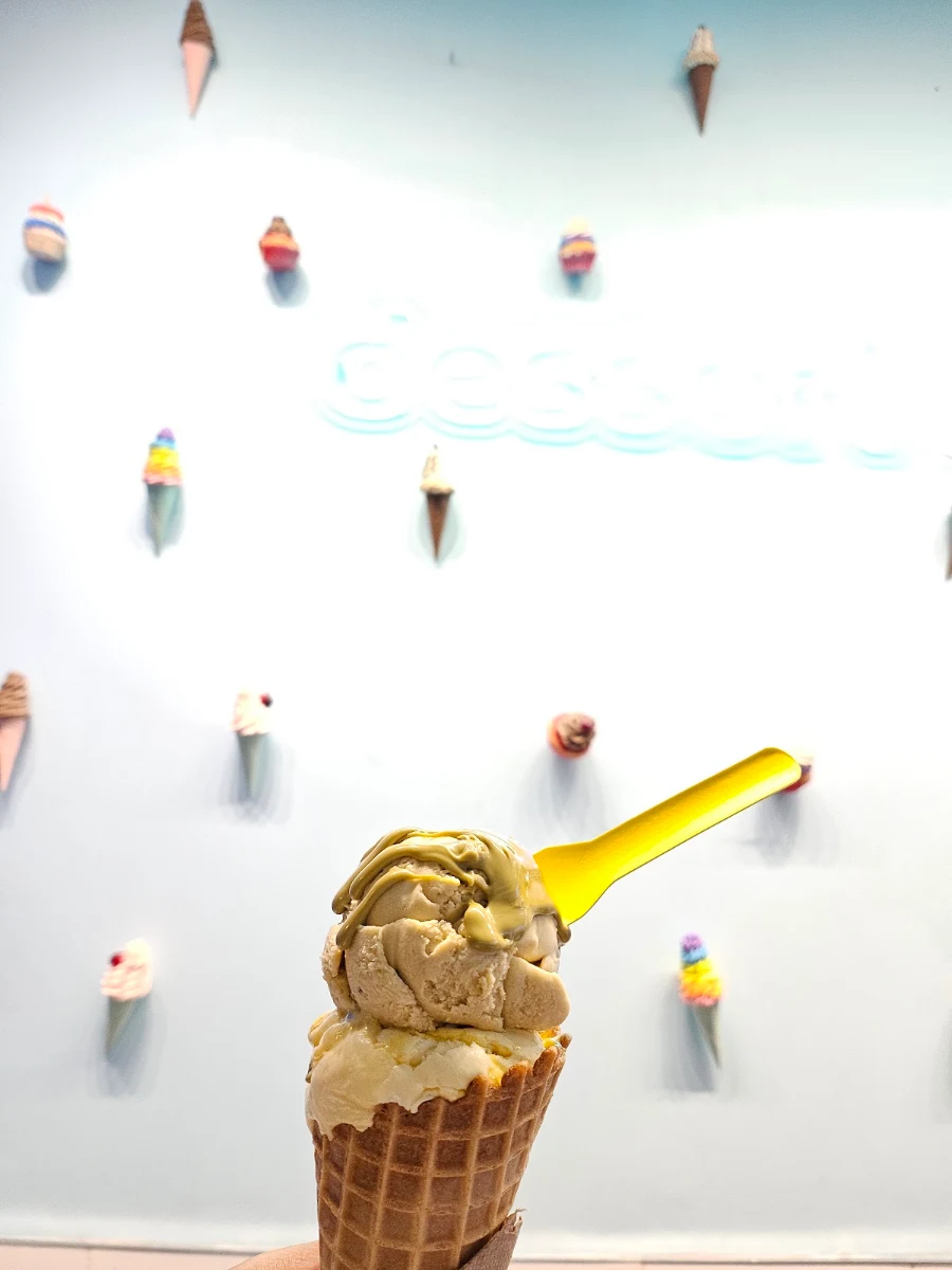 Chocolate Ice Cream