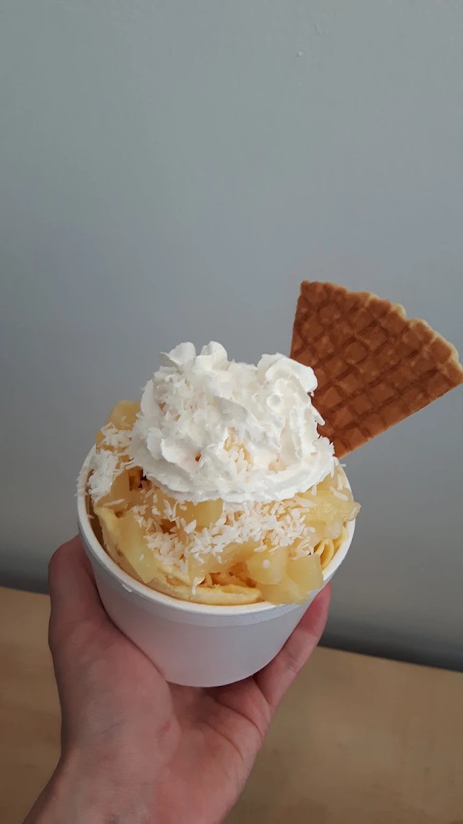 Frozen Yogurt