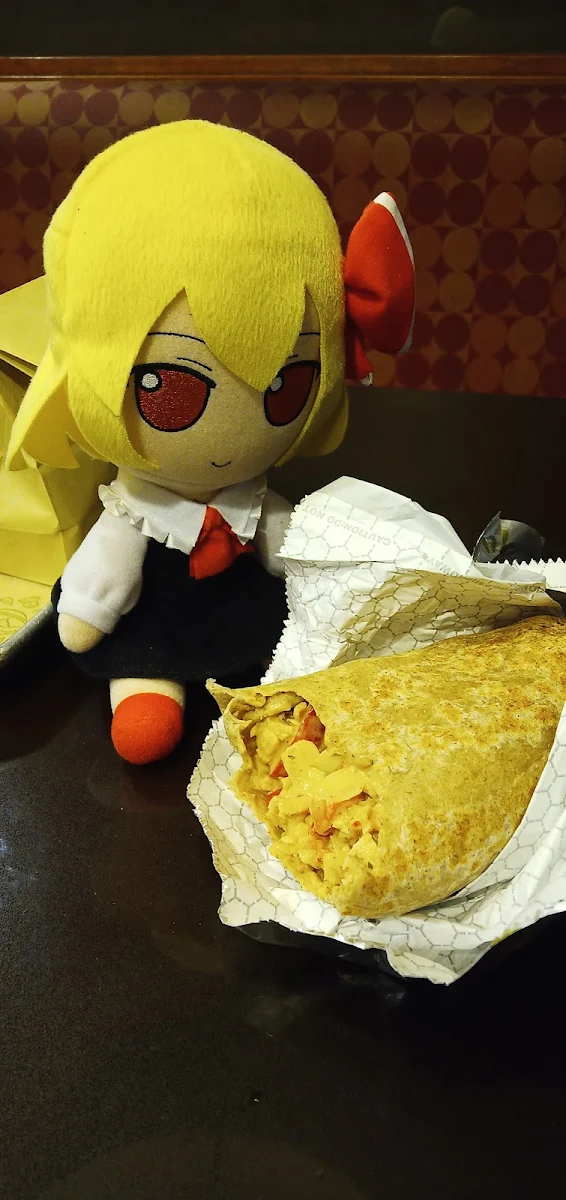 Chicken Burrito