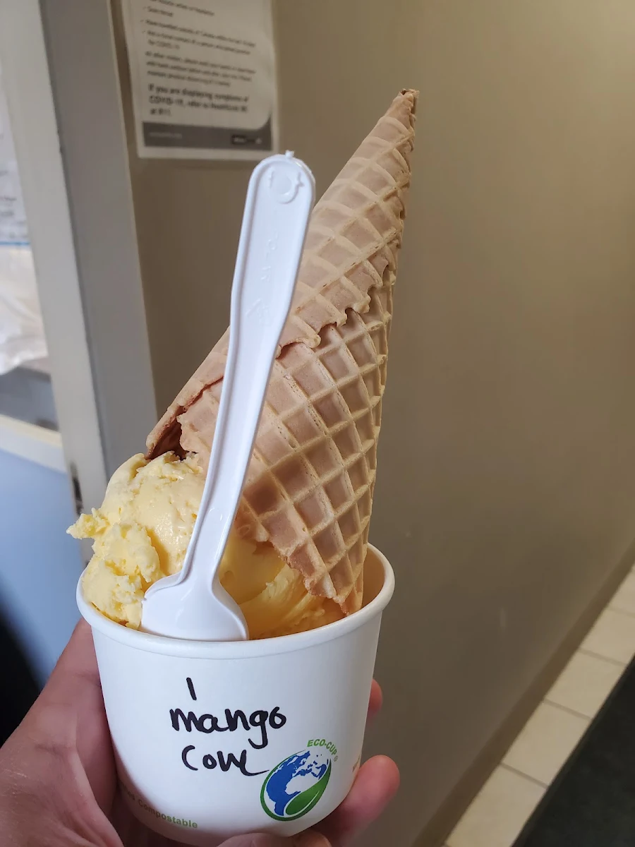 Mango Lassi Water Buffalo Frozen Yogurt