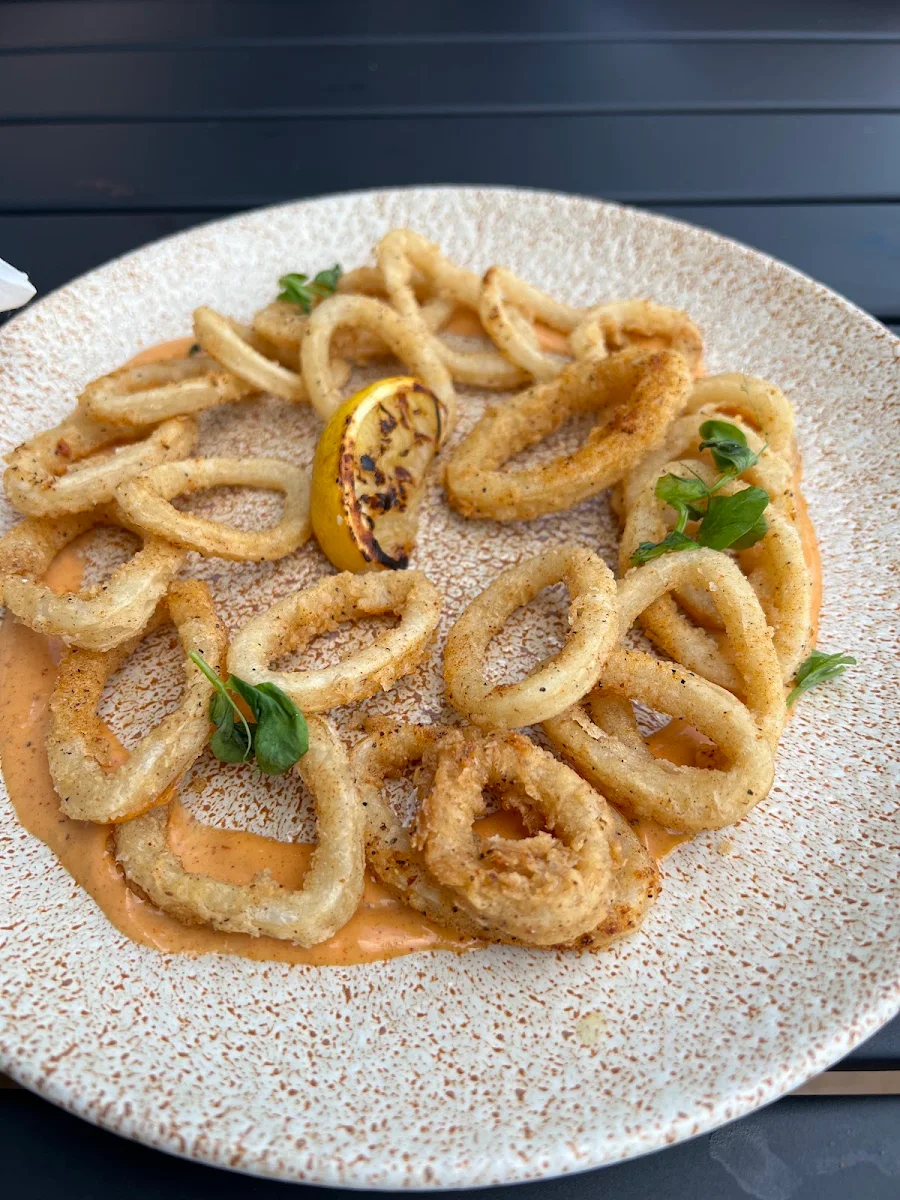 Fried Calamari