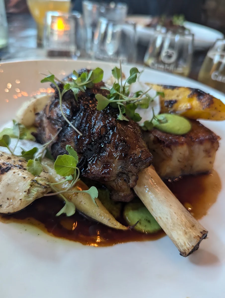Lamb Shank