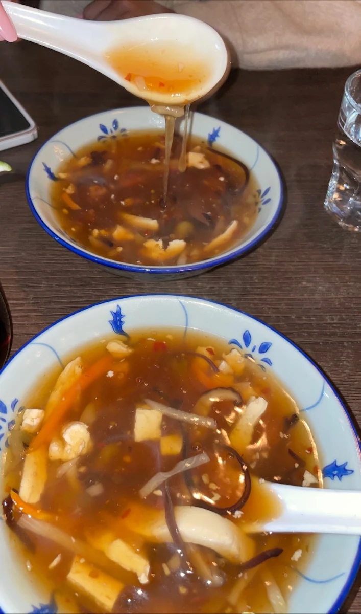 Hot and Sour Soup
