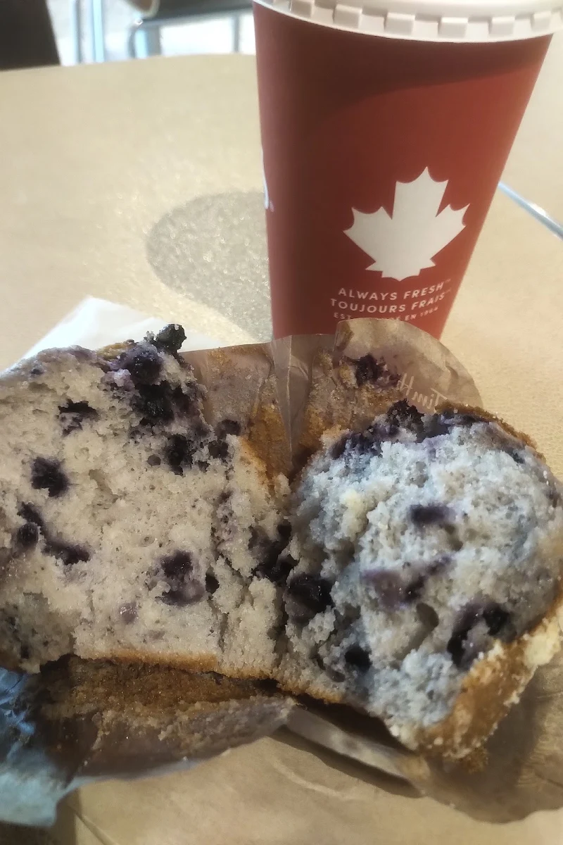 Blueberry Muffin