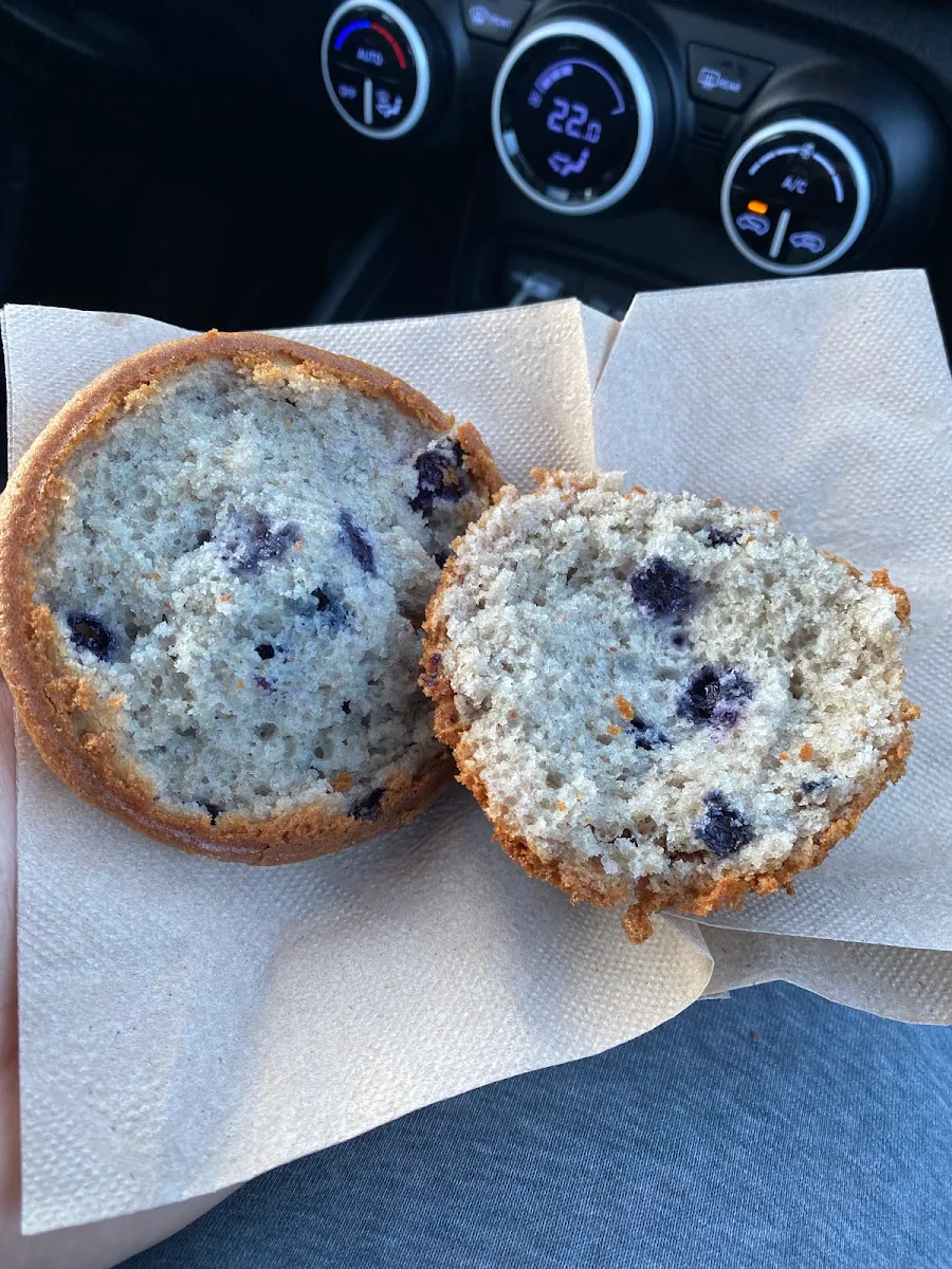 Blueberry Muffin