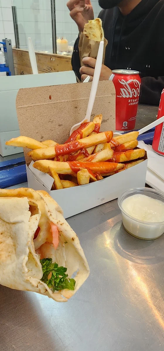 Chicken Shawrma on Pita with Fries