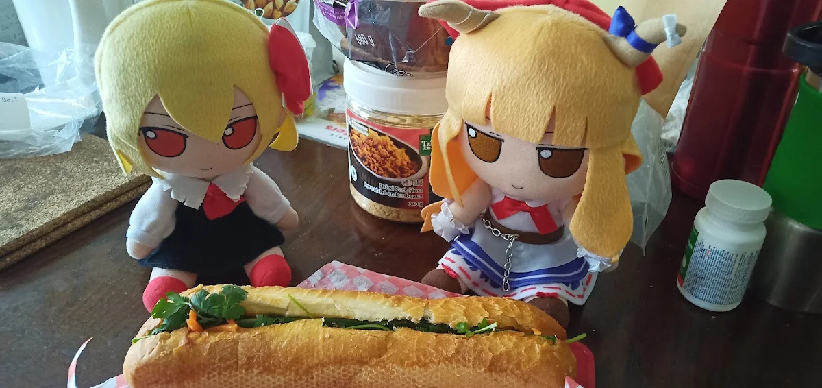 Vietnamese Beef Sub
