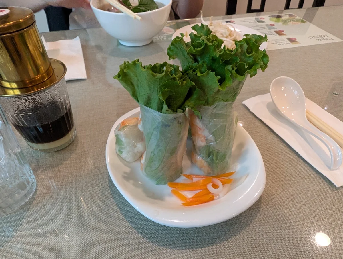 Salad Rolls Gỏi Cuốn
