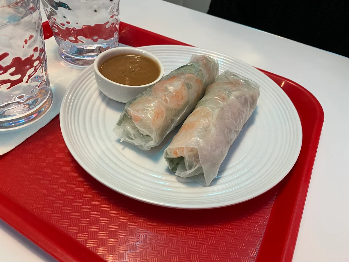 Rouleaux Printemps 2 Spring Rolls 2