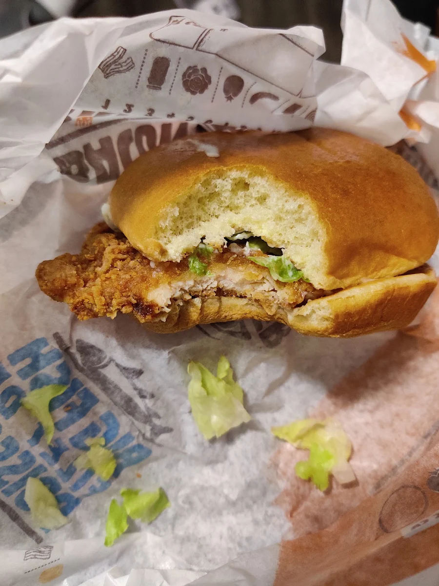 Oily Chicken Sandwich